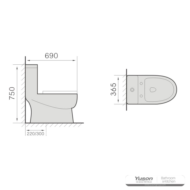 YS24265	One piece ceramic toilet, siphonic;