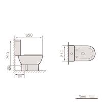 YS22215P	2-piece ceramic toilet, close coupled P-trap washdown toilet;