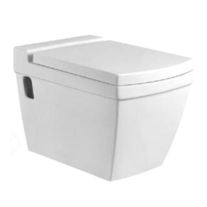 YS22242H	Wall-hung ceramic toilet, Wall-mounted toilet, washdown;