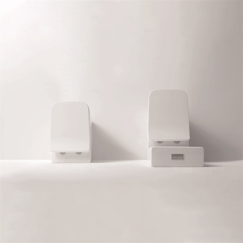YS22251P	2-piece Rimless ceramic toilet, P-trap washdown toilet;
