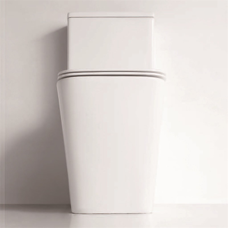 YS22251P	2-piece Rimless ceramic toilet, P-trap washdown toilet;
