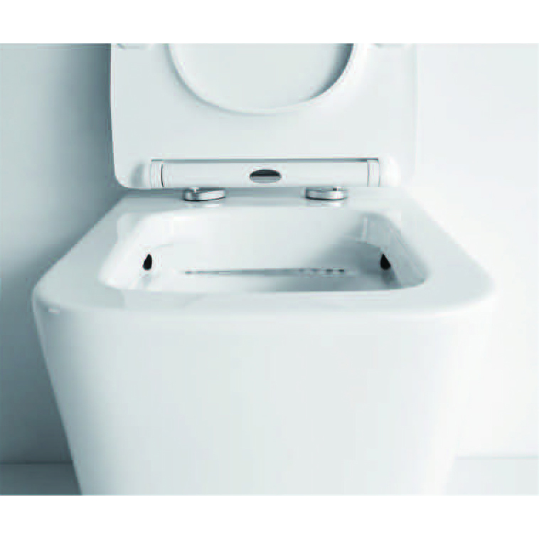 YS22251P	2-piece Rimless ceramic toilet, P-trap washdown toilet;