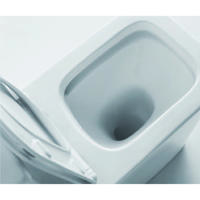 YS22251P	2-piece Rimless ceramic toilet, P-trap washdown toilet;