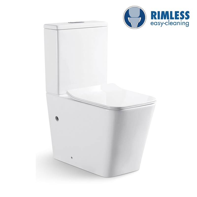 YS22251P	2-piece Rimless ceramic toilet, P-trap washdown toilet;