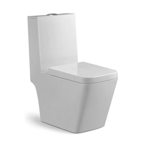YS22259S	One piece ceramic toilet, S-trap, washdown