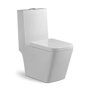 YS22259	One piece ceramic toilet, P-trap, washdown;