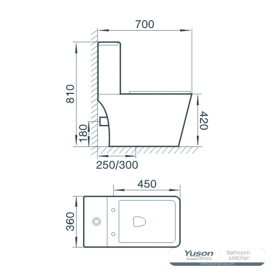 YS22259S	One piece ceramic toilet, S-trap, washdown
