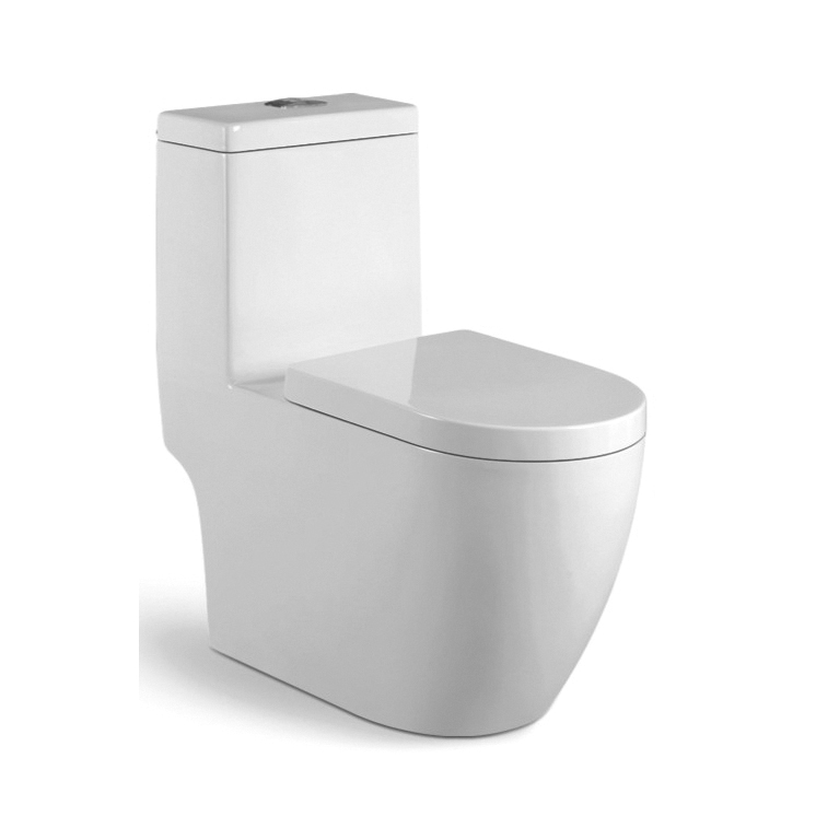 Wall-mounted Toilet Practicality