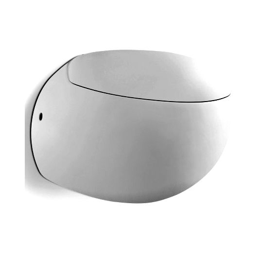 YS22263H	Wall-hung ceramic toilet, Wall-mounted toilet, washdown;
