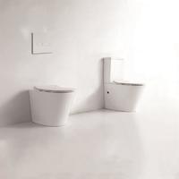 YS22268P	2-piece Rimless ceramic toilet, P-trap washdown toilet;