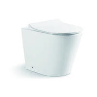 YS22268F	Single standing ceramic toilet, Rimless, P-trap washdown toilet;