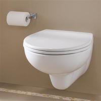 YS22269H	Wall-hung ceramic toilet, Wall-mounted toilet, washdown;