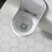 YS22279H	Wall-hung ceramic toilet, Rimless Wall-mounted toilet, washdown;