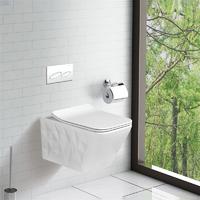 YS22289H	Wall-hung ceramic toilet, Wall-mounted toilet, washdown;