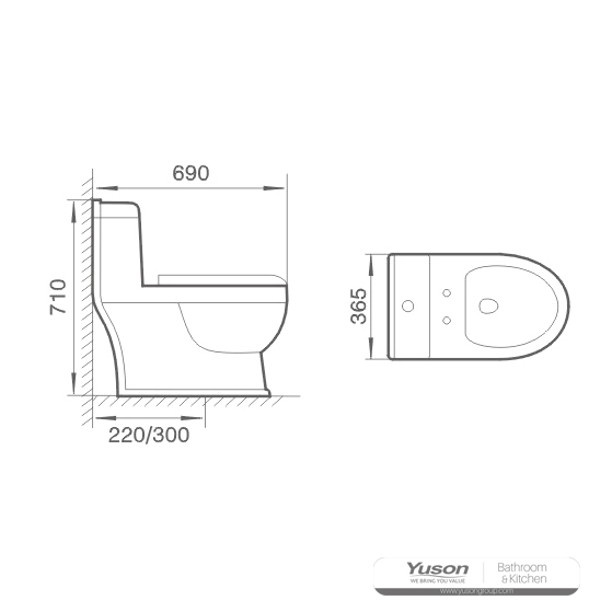 YS24256	One piece ceramic toilet, siphonic;