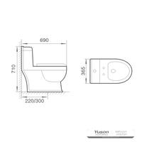 YS24256	One piece ceramic toilet, siphonic;