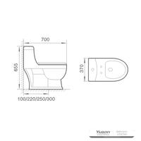 YS24258	One piece ceramic toilet, siphonic;