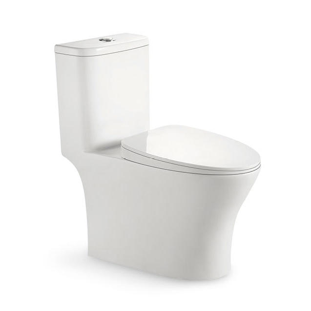 YS24282	One piece ceramic toilet, siphonic;