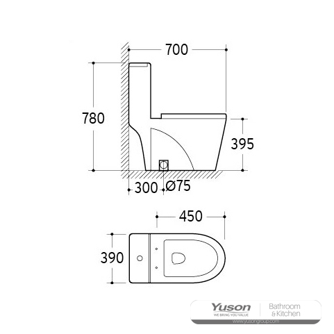 YS24283	One piece ceramic toilet, siphonic;
