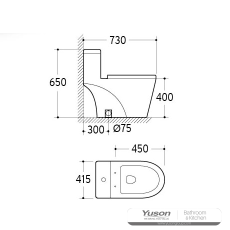 YS24284	One piece ceramic toilet, siphonic;