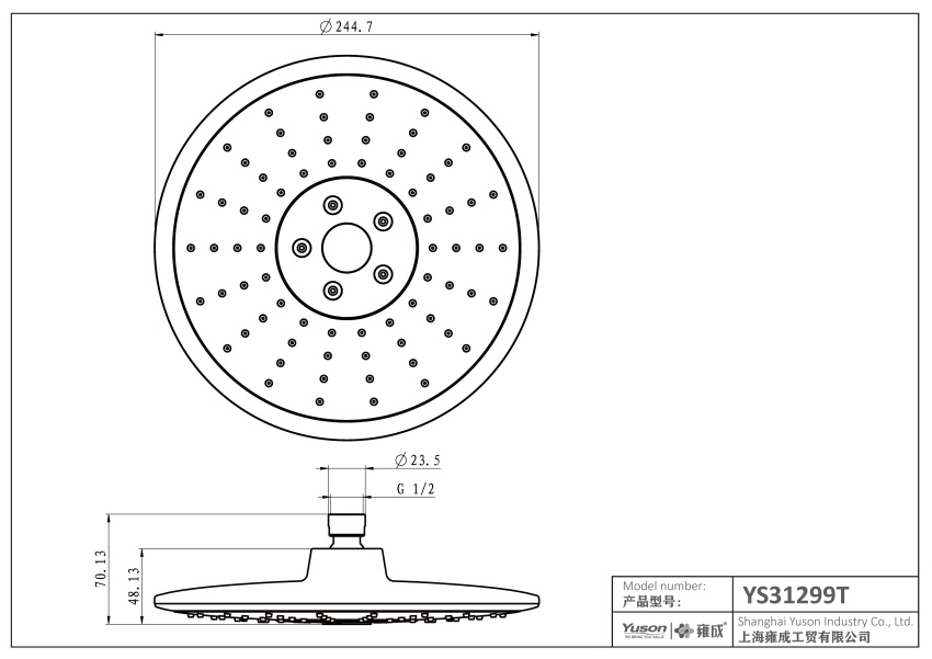 YS31299T	ABS shower head, rain shower head;