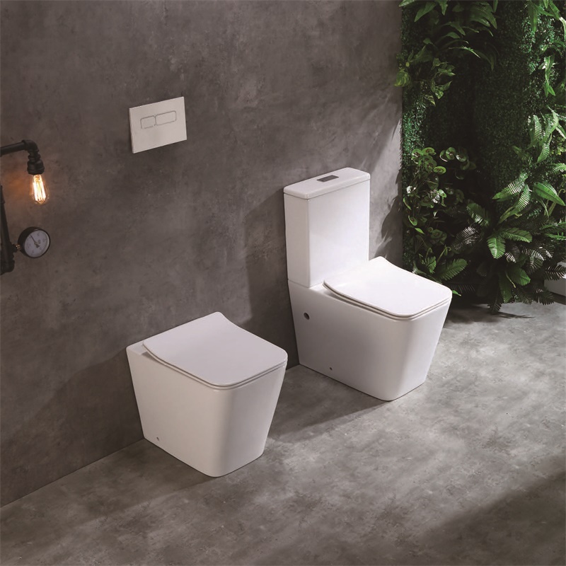 YS22251P	2-piece Rimless ceramic toilet, P-trap washdown toilet;