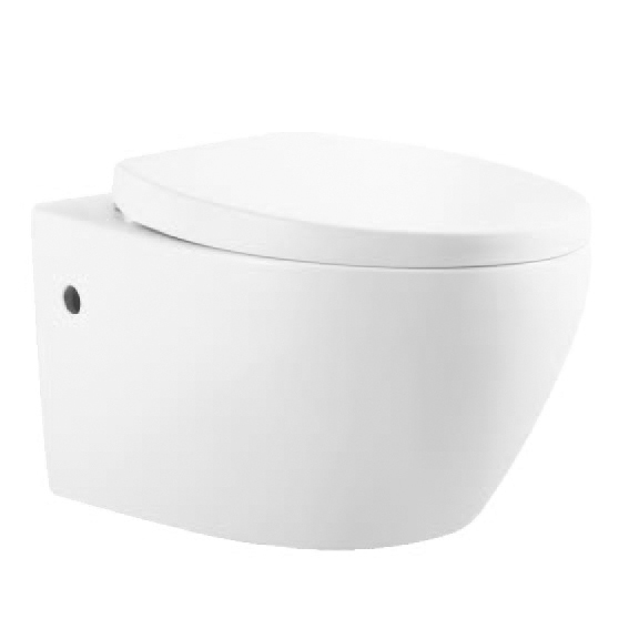 YS22288H	Wall-hung ceramic toilet, Wall-mounted toilet, washdown;