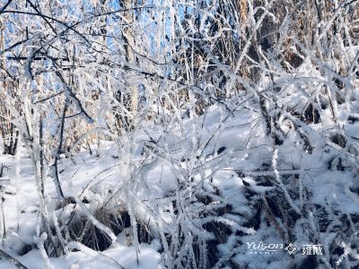 Video Recorder by Demi The Majestic Changbai Mountain